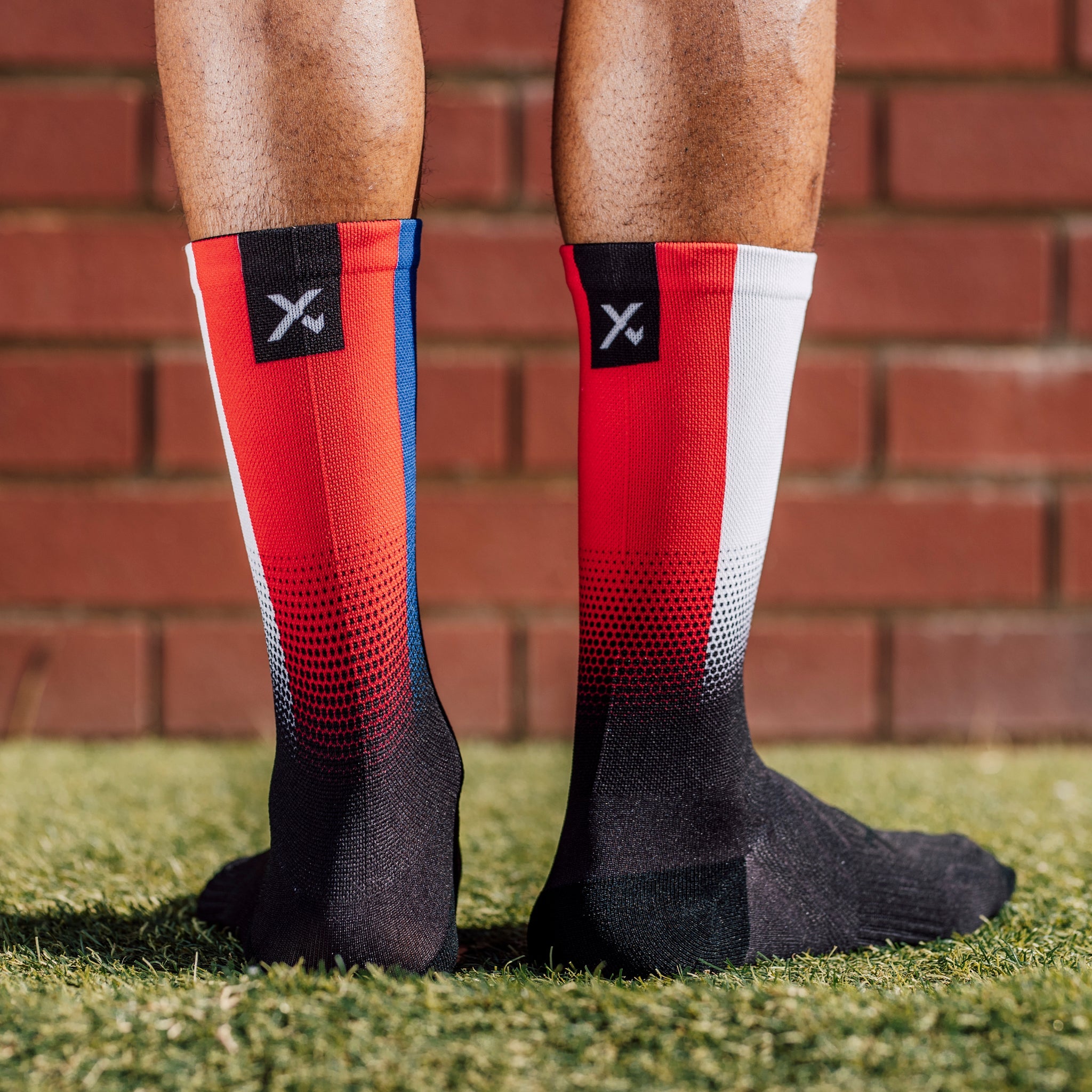France Flag Crew Socks