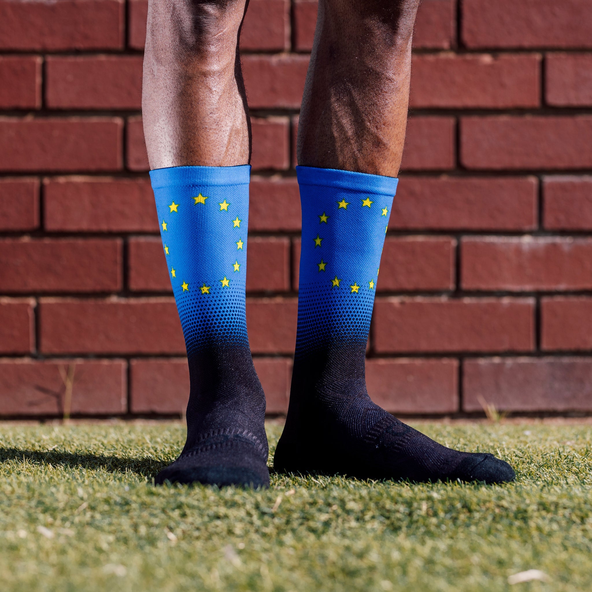 European Union Flag Crew Socks