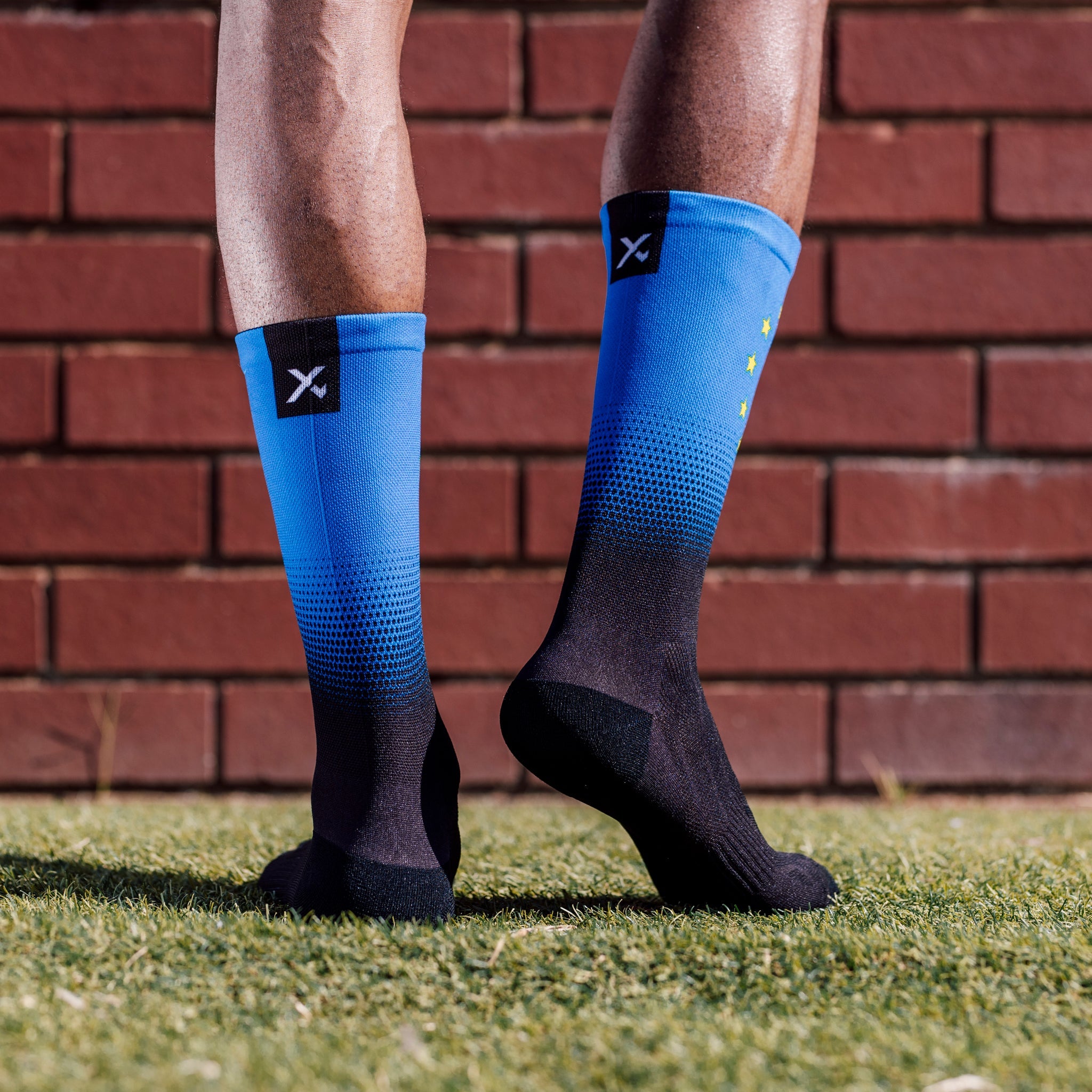 European Union Flag Crew Socks