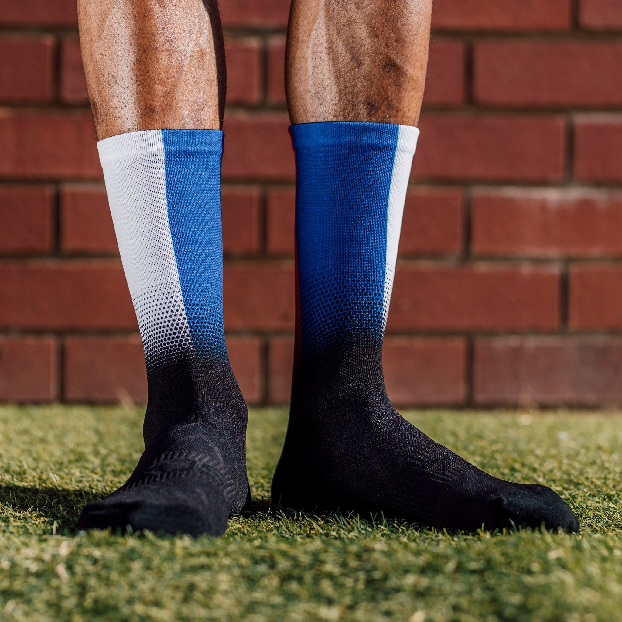 France Flag Crew Socks