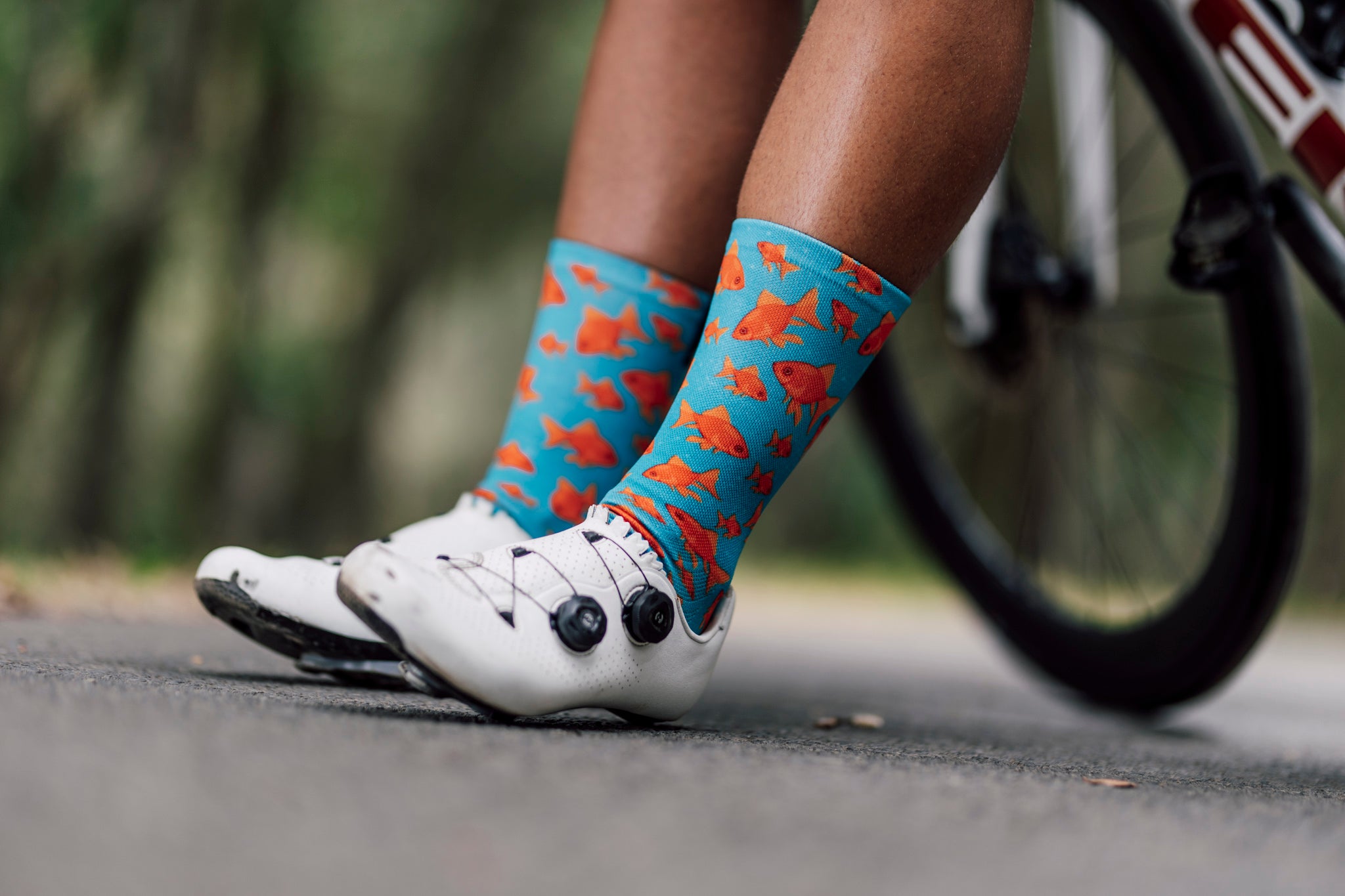 Goldfish Crew Socks